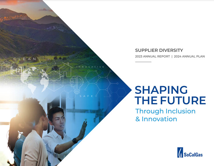 Supplier Diversity Report