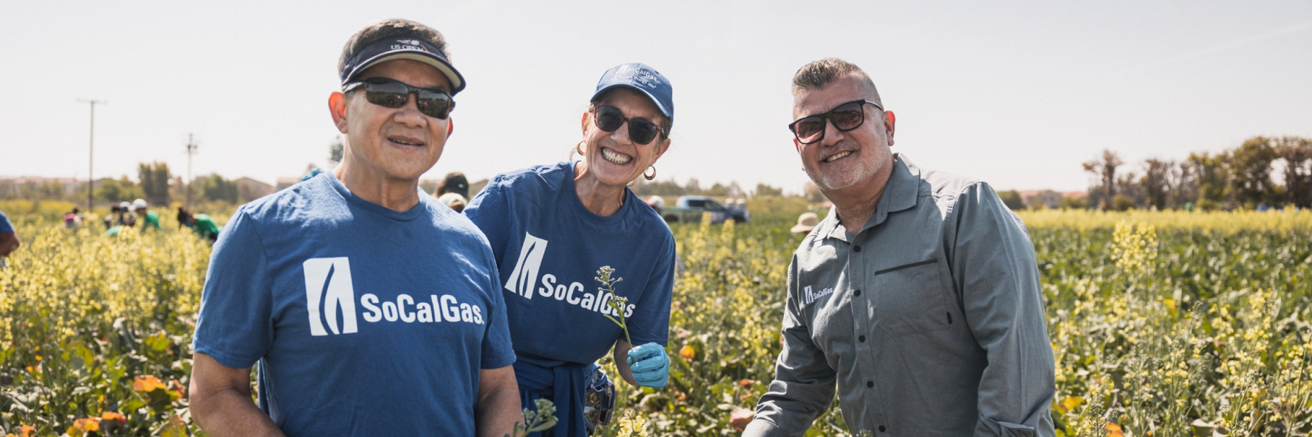 3 employees working in a field