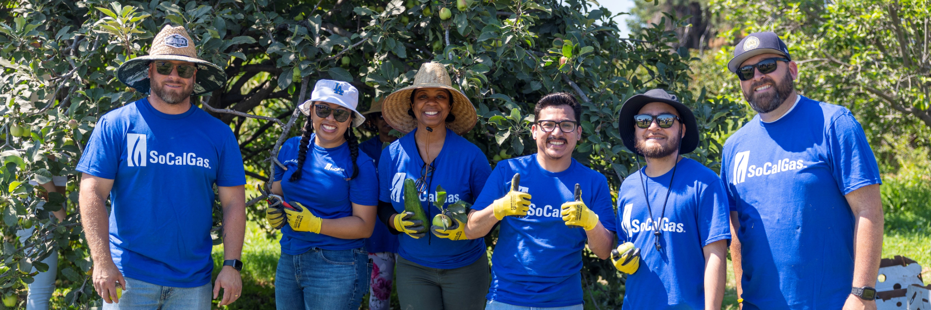 SoCalGas Employees Volunteering, picking fruit, posing for a photo in front of the orchard.