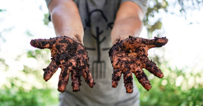 Muddy hands