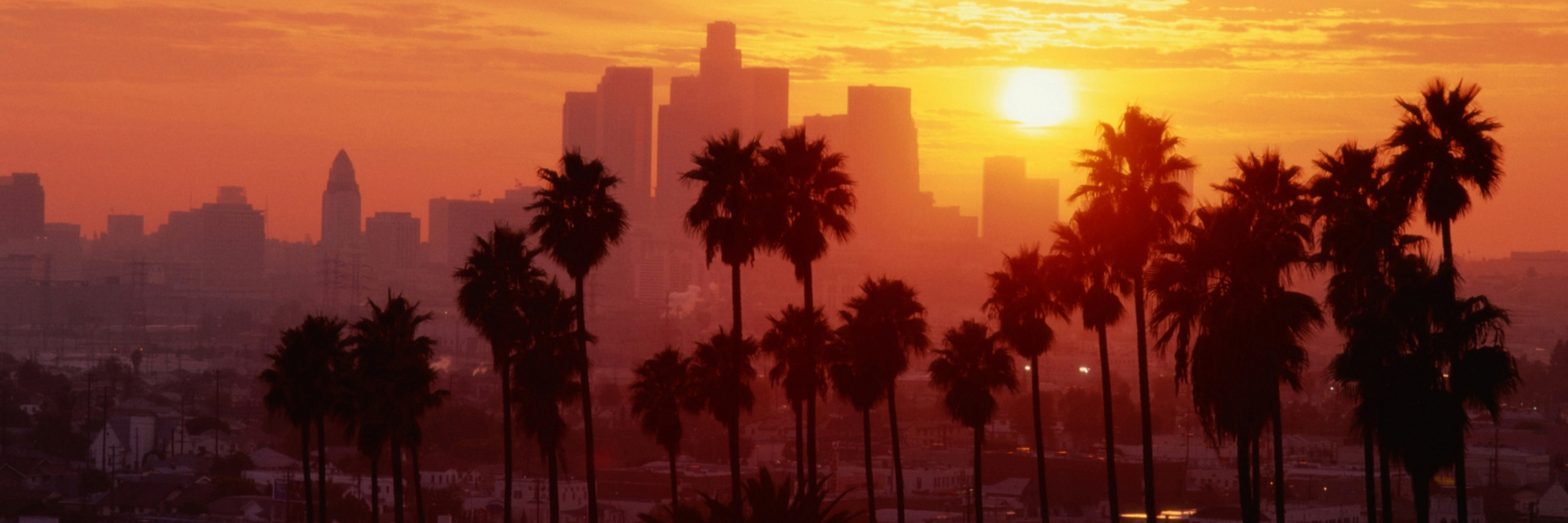 hazy downtown LA skyline at dusk with palm trees in the foreground