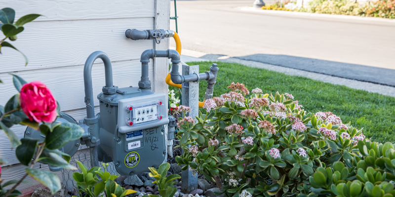 gas-meter-in-foilage