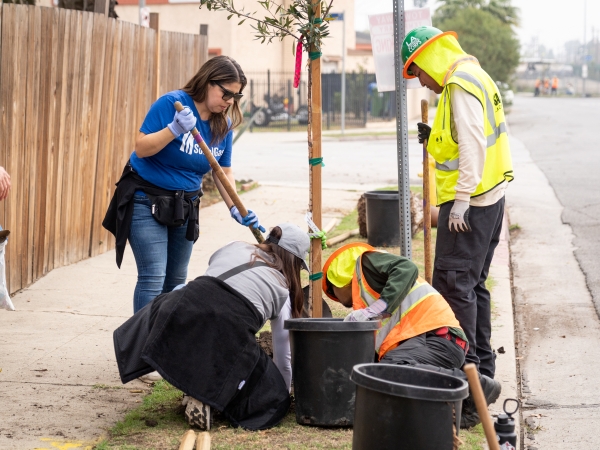 SCG, LA Kings, and Conservation Corp members planting a tree