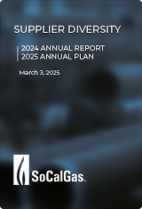Supplier Diversity - Annual Report