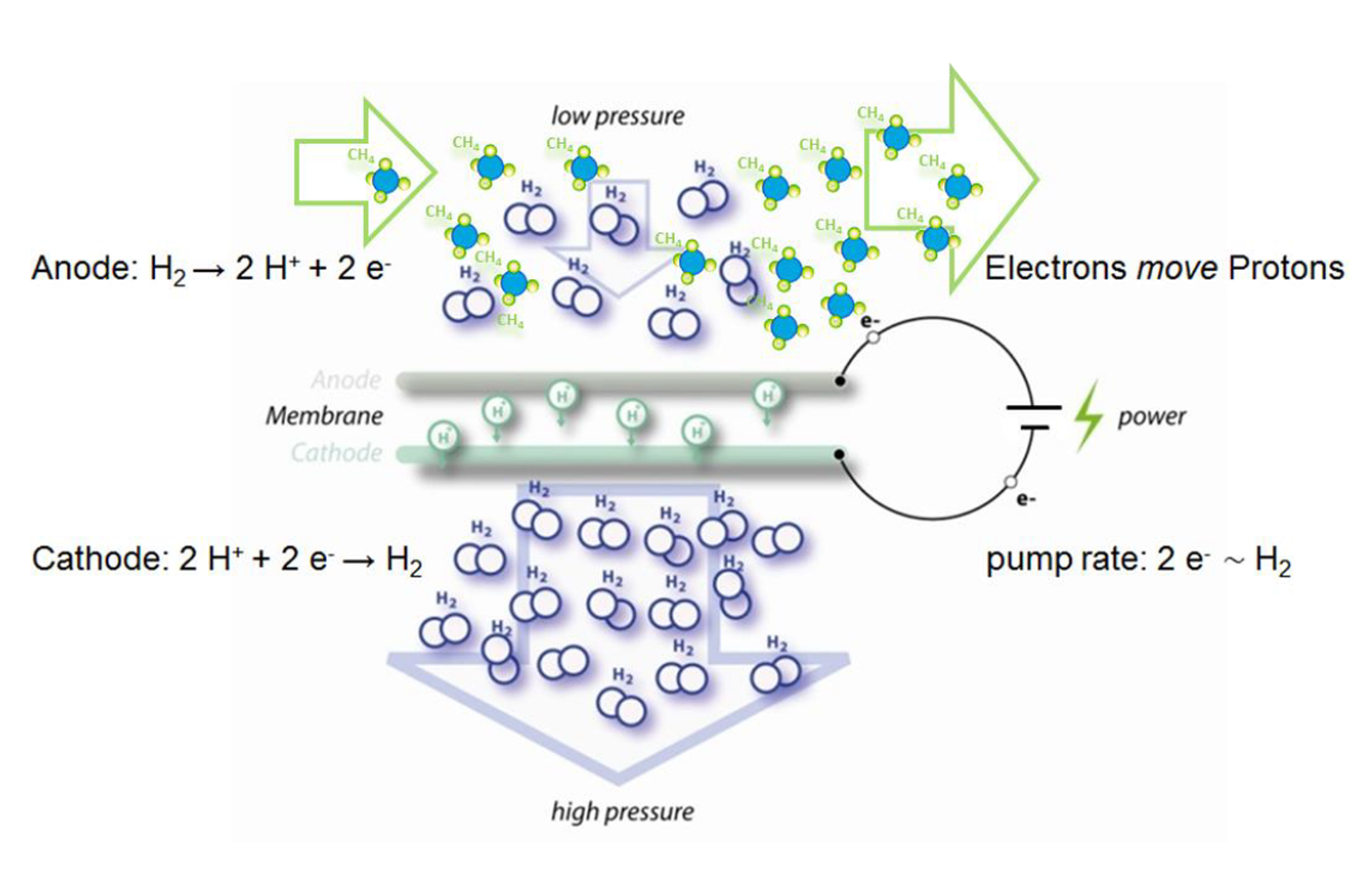 Simplified diagram showing the selective transport of hydrogen through a Membrane Electrode Assembly (MEA)