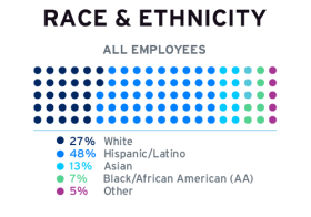 race ethnic graph