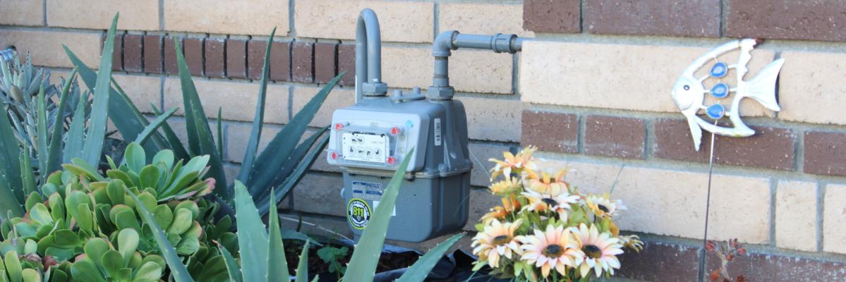 gas meter against a brick wall with flowers in the foreground