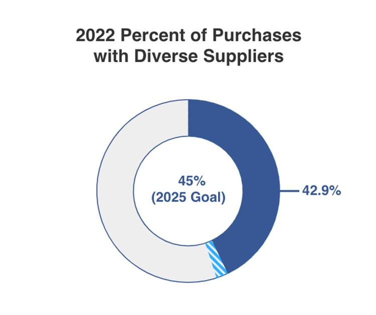 diverse suppliers purchases chart