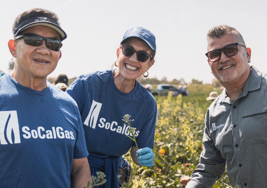 3 employees working in a field